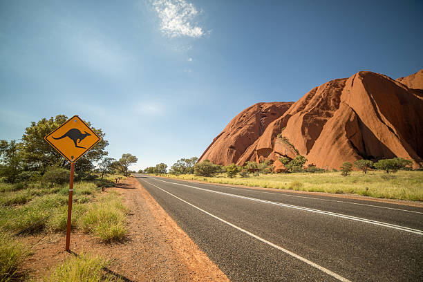 segnale di avvertimento canguro nell'outback, australia - kangaroo animal australia outback foto e immagini stock