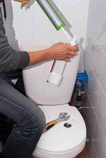 istock repair toilet cistern 615276926