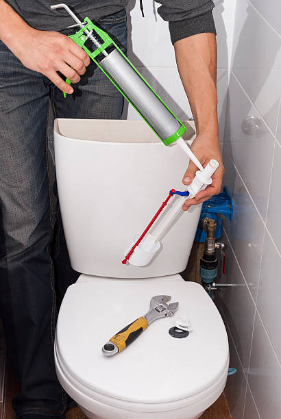 istock repair toilet cistern 615276938