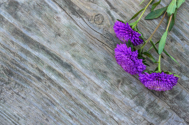 istock Asters flowers on the old wooden table 615277240