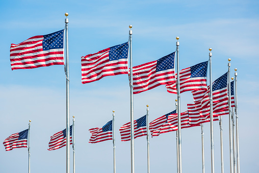 Curved row of many American Flags in Washington D.C. by monument isolated against blue sky