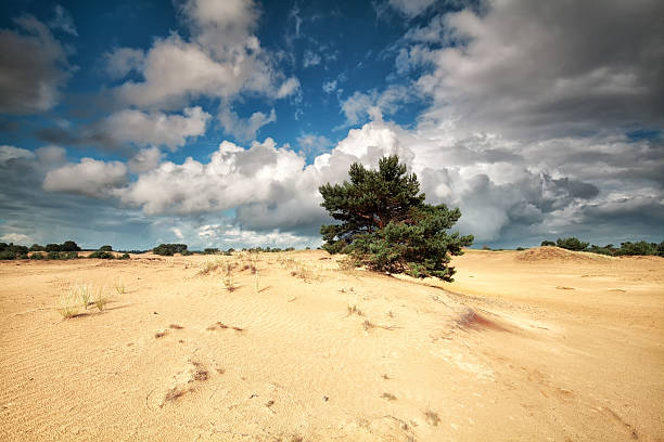 istock beautiful cloudy sky ove sand dunes 615277580