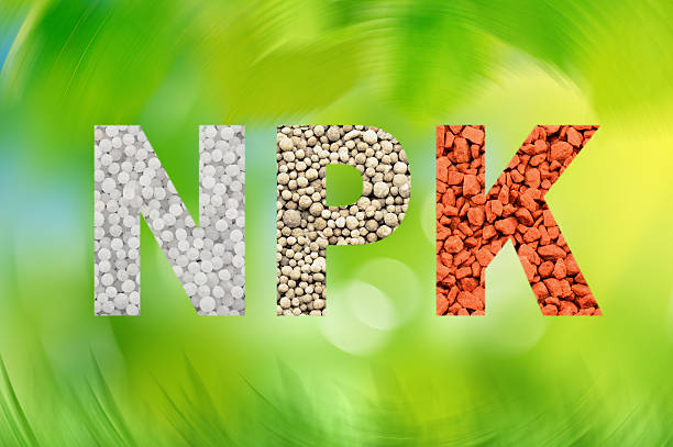 lettres npk faites d’engrais minéraux - fertilizer nitrogen potassium particle photos et images de collection