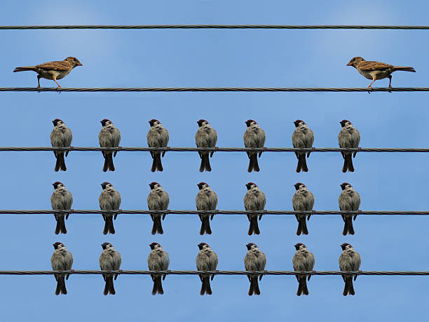 istock group of careful listeners and speaker 615278878