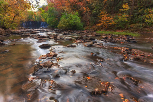 waterfall in North Georgia