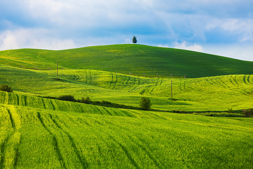 Spring landscape in Val d'Orcia, Tuscany