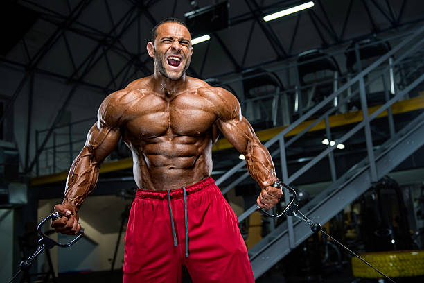 allenamento hardcore body building - abdominal muscle muscular build barbell bicep foto e immagini stock