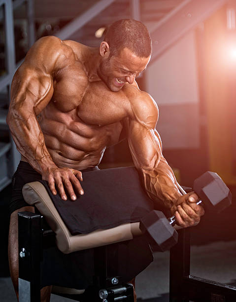 ejercicio con pesas  - body building gym human muscle effort fotografías e imágenes de stock