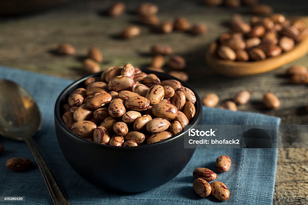 Healthy Raw Organic Cranberry Beans Healthy Raw Organic Cranberry Beans Ready to CookHealthy Raw Organic Cranberry Beans Ready to Cook Agriculture Stock Photo