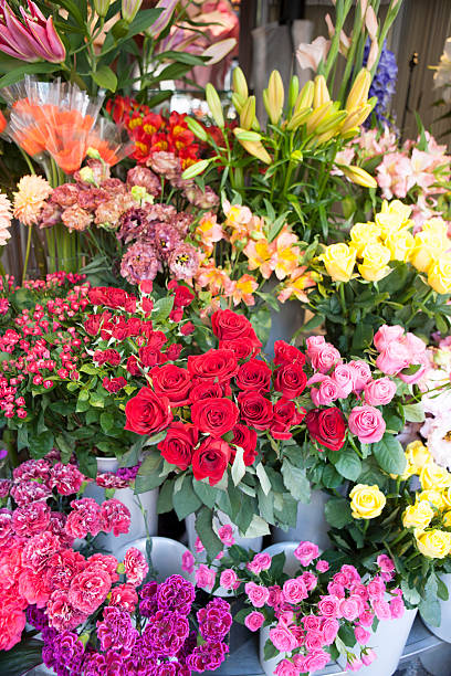 istock Flowers in a flower shop 615287358