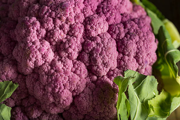 istock Raw Organic Purple Cauliflower 615287552
