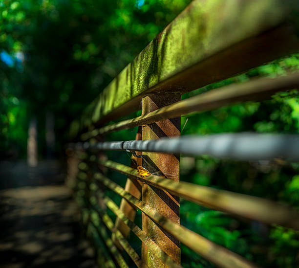Tanyard Creek Park
