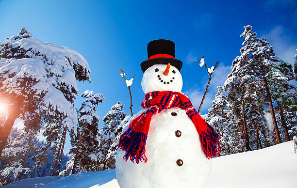 Happy Snowman in Christmas Season
