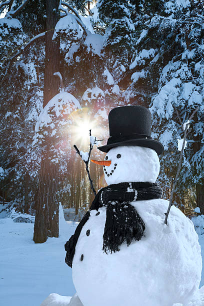 istock Happy Snowman in Christmas Season 615387842