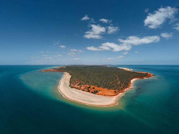 istock Birds Eye View Of Cape Peron 615387982