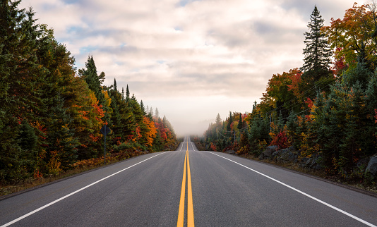 Carretera escénica con colores otoñales photo
