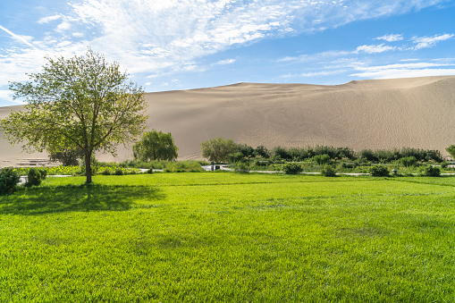 The oasis in desert,Dunhuang City, Gansu, China.Fine place for photographers and travelers.