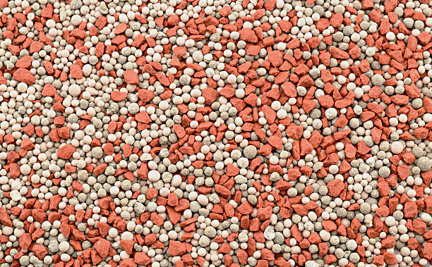 engrais minéraux composites - fertilizer nitrogen potassium particle photos et images de collection