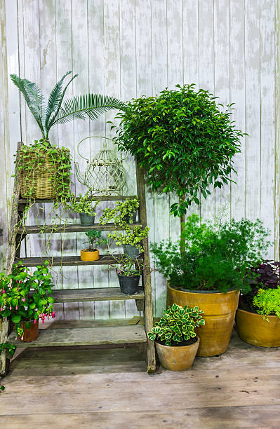 zone de détente dans une maison confortable. - vertical garden photos et images de collection