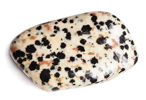 Dalmatian jasper stone isolated on white with clipping path