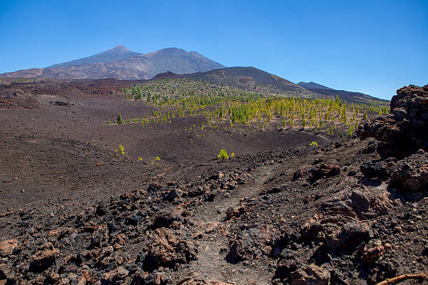 Teide's volcano and Pico Viejo a sunny day.