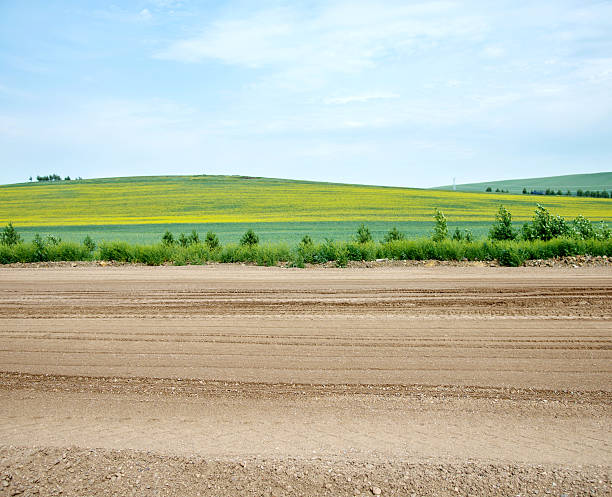 istock Country road in green fields 615403596