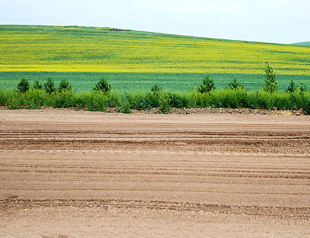 istock Country road in green fields 615403862