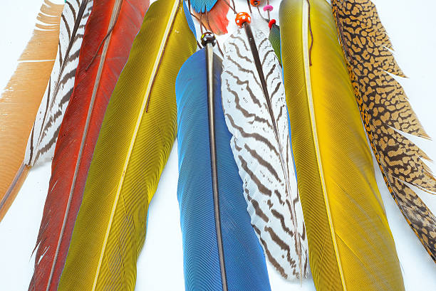 istock Decoration from feathers and gemstones. Boho style background 615404480