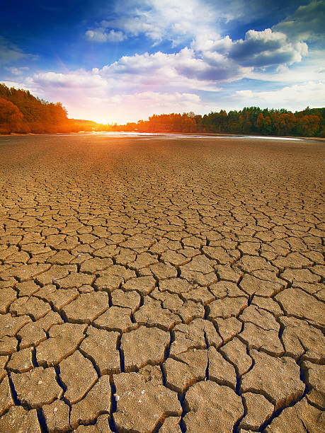 istock Land with dry and cracked ground 615406544