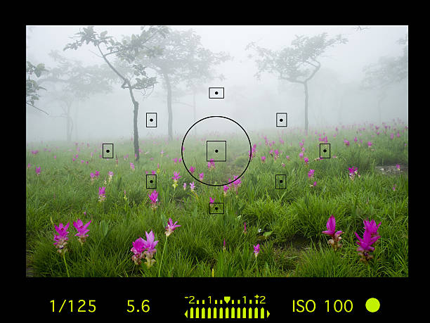 istock camera viewfinder with exposure photo and camera settings. 615408586