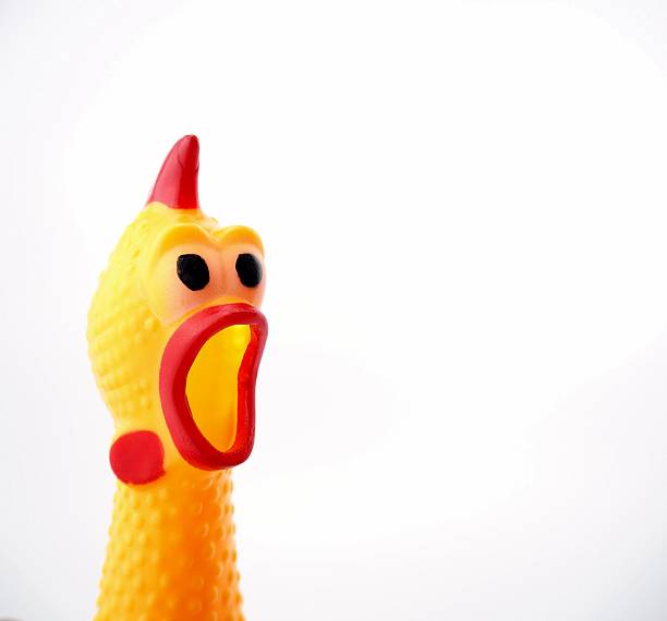 istock Yellow shrilling chicken with red lips on white background 615409304