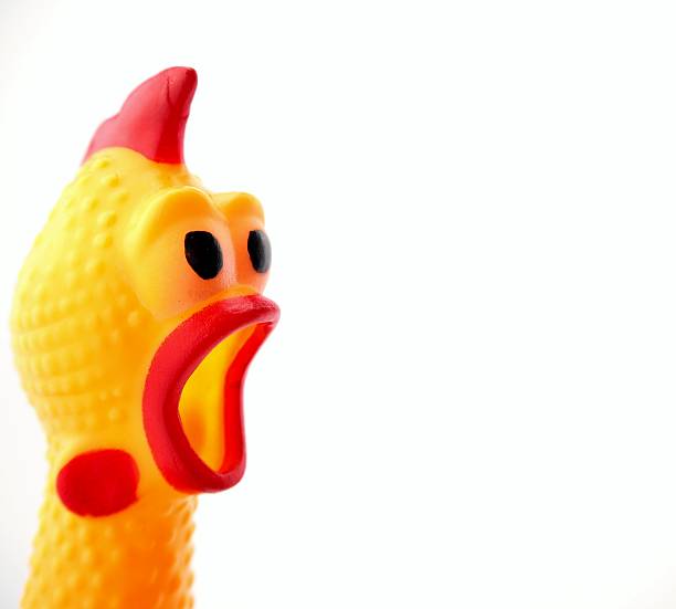 istock Yellow shrilling chicken with red lips on white background 615409324