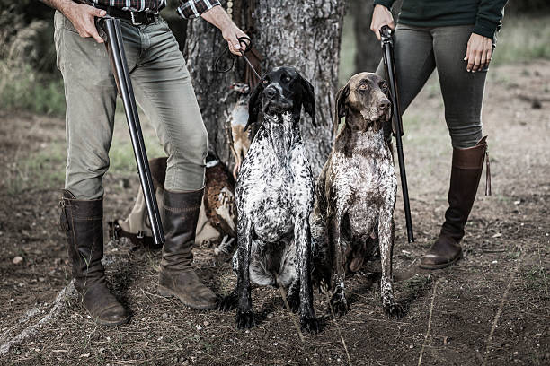 istock Hunters with purebreed dogs 615409604