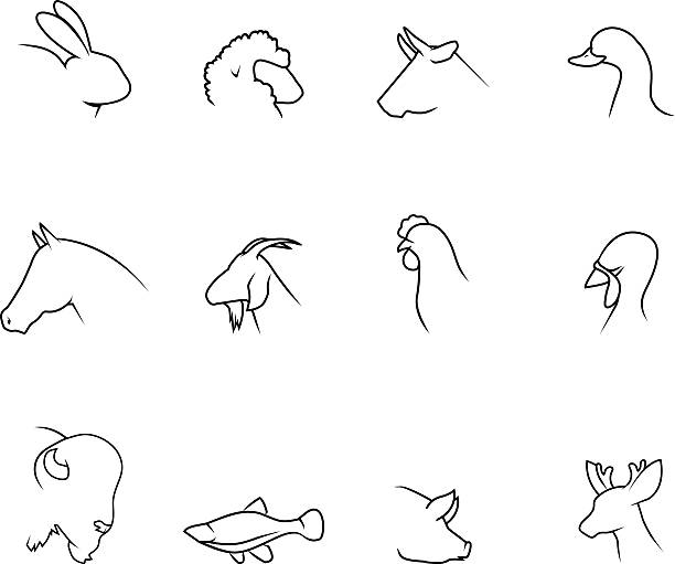 illustrazioni stock, clip art, cartoni animati e icone di tendenza di icone di animali  - ox head
