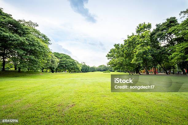 Öffentlicher Parklandschaft Stockfoto und mehr Bilder von Parkanlage - Parkanlage, Gras, Bildhintergrund