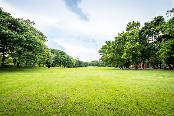 parco pubblico del paesaggio - landscape tree environment field foto e immagini stock