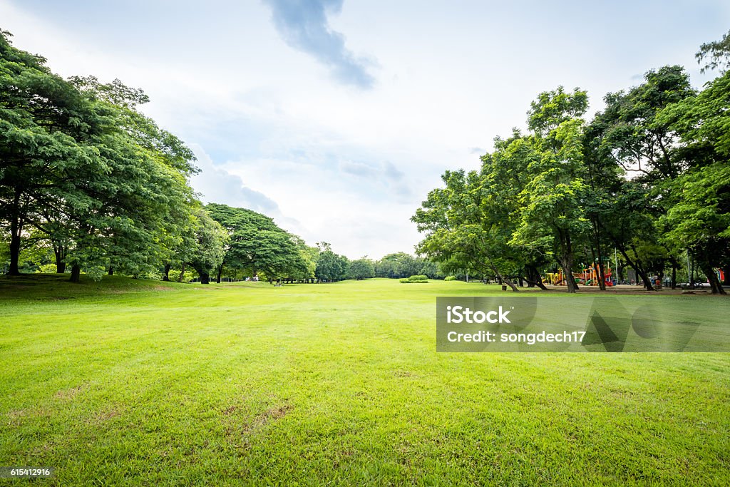 Public park landscape Beautiful park scene in public park with green grass field, green tree plant and a party cloudy blue sky Public Park Stock Photo