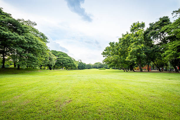 Public park landscape Beautiful park scene in public park with green grass field, green tree plant and a party cloudy blue sky public park stock pictures, royalty-free photos & images