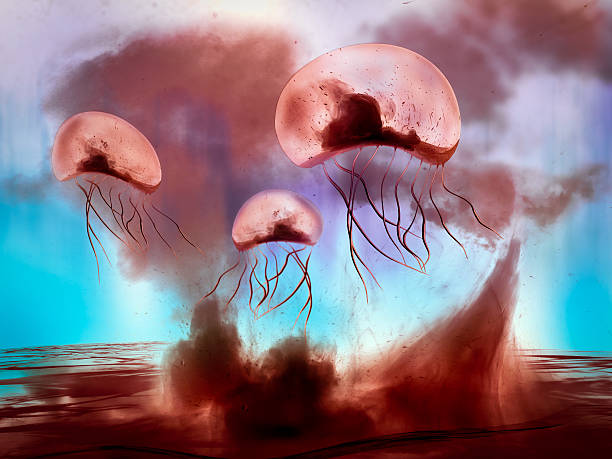 A saltwater jellyfish.