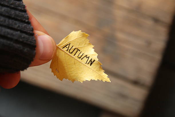istock autumn leaf with an inscription 615418912