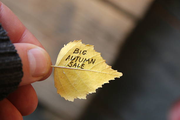 istock Big Autumn sale idea, text on yellow leaf. Soft focus. 615418972