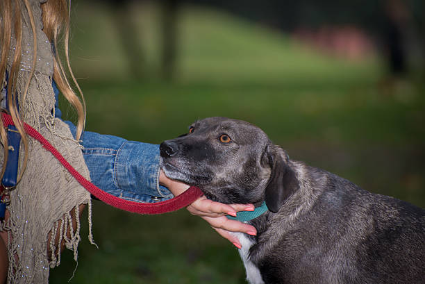 istock Trust, happines and love 615419116