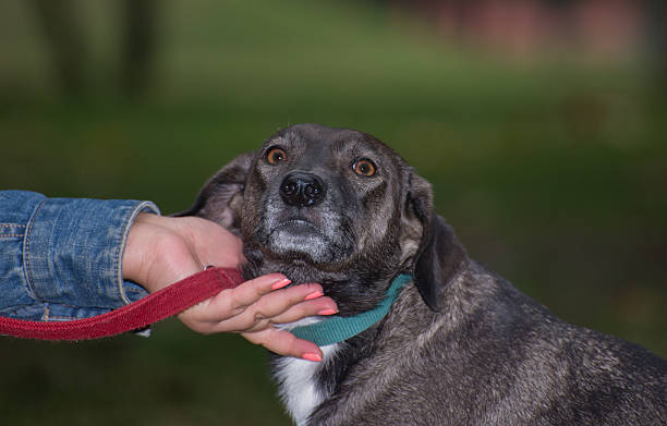 istock Trust, happines and love 615419354