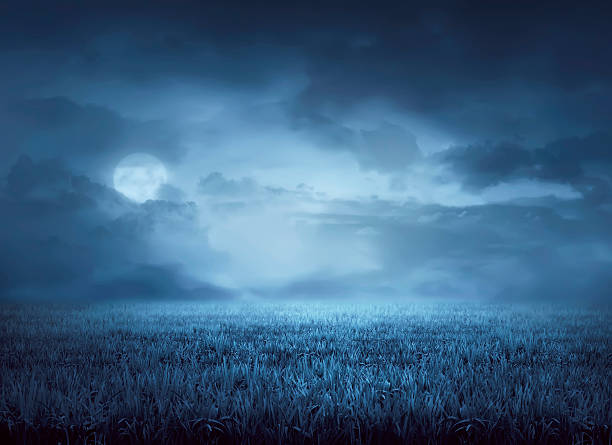 夜の牧草地を霧が取り囲む - spooky ストックフォトと画像