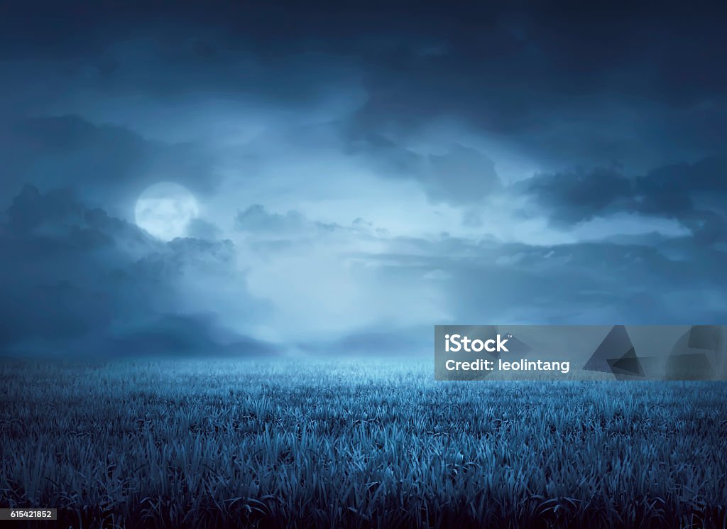 Fog surrounds meadow at night Fog surrounds meadow at night in the moonlight Spooky Stock Photo