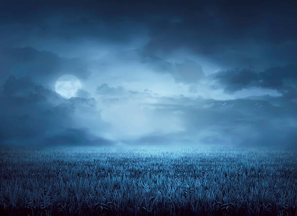 Fog surrounds meadow at night Fog surrounds meadow at night in the moonlight moonlight stock pictures, royalty-free photos & images