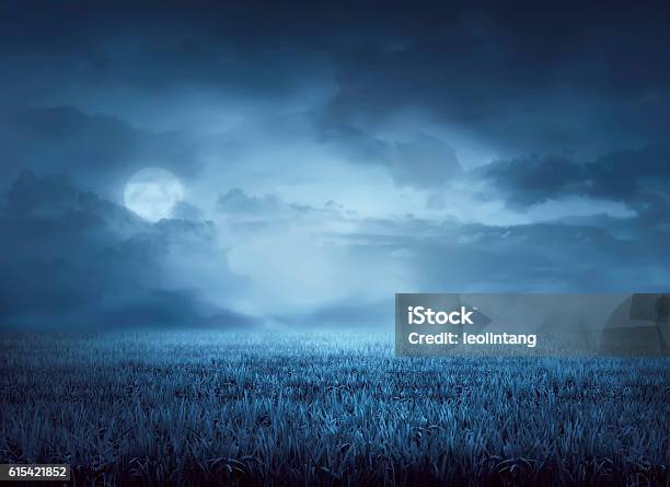 Fog Surrounds Meadow At Night Stock Photo - Download Image Now - Spooky, Horror, Night