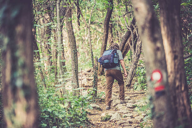 istock Senior caucasian man back view  - Mountaineer walking in forest 615423976