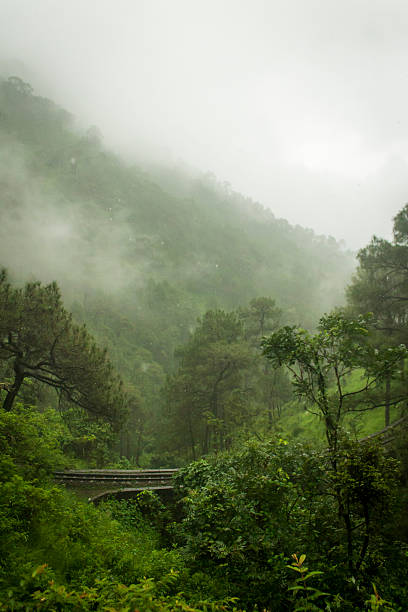 Beautiful landscape of Shimla
