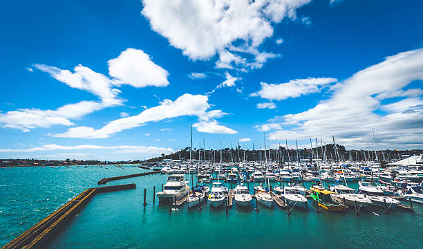 boats moored at half moon bay marina in auckland - moored boats imagens e fotografias de stock